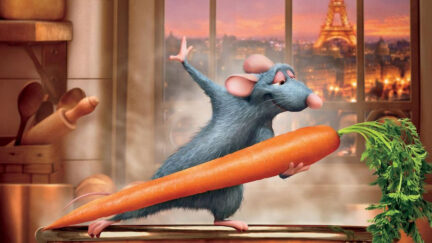 一只老鼠和蔬菜杂烩里的胡萝卜一起跳舞