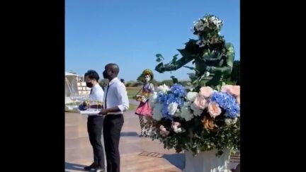 来自TikTok热门视频的图片显示，表演者在婚礼上打扮成植物